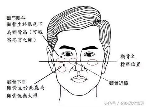 顴骨斑面相|面相：從顴骨看你的富貴有多大！